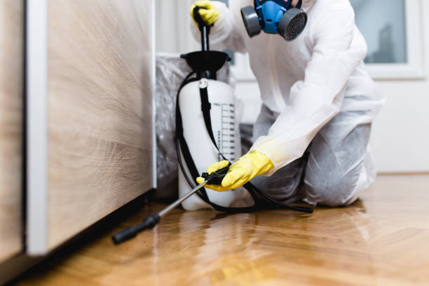 Trusted Walker Valley, NY Pest Control Experts