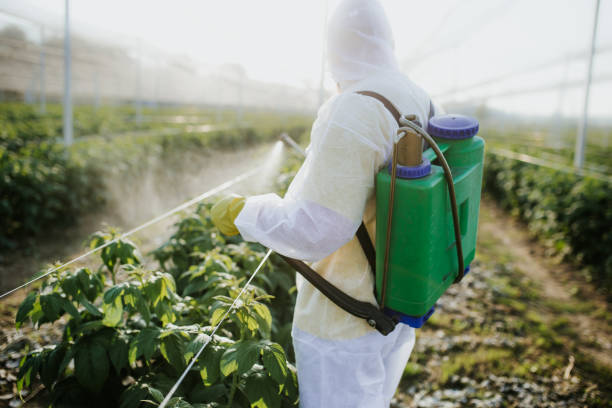 Best Affordable Pest Control Services  in Walker Valley, NY